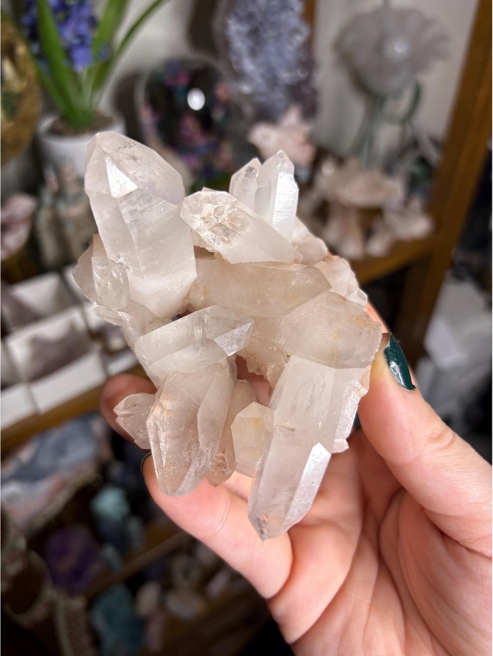 Samadhi Himalayan Quartz Cluster with Natural Rainbows |